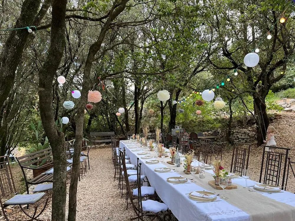 Large table prepared for families beneath the oak trees